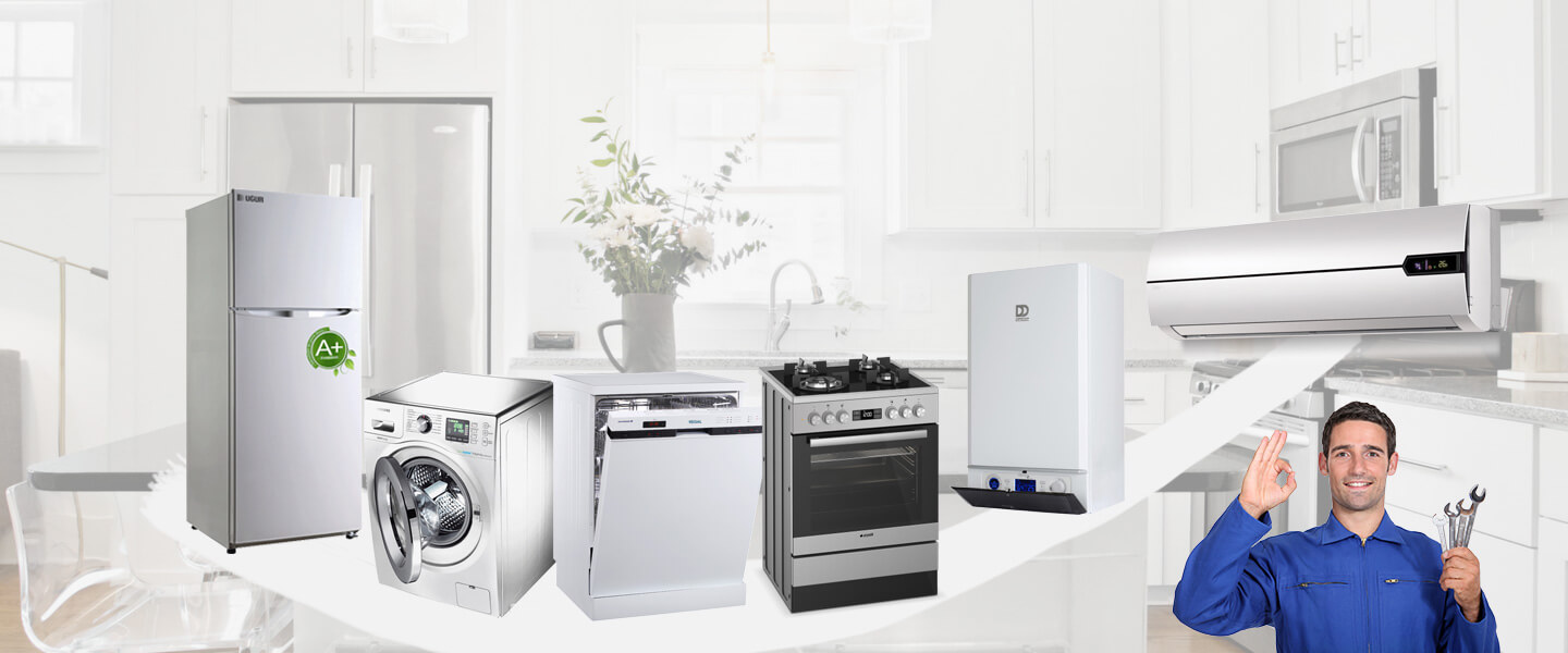 Boyalık Dominox Servisi